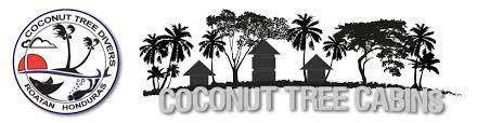 Coconut Tree West End Hotel Eksteriør billede